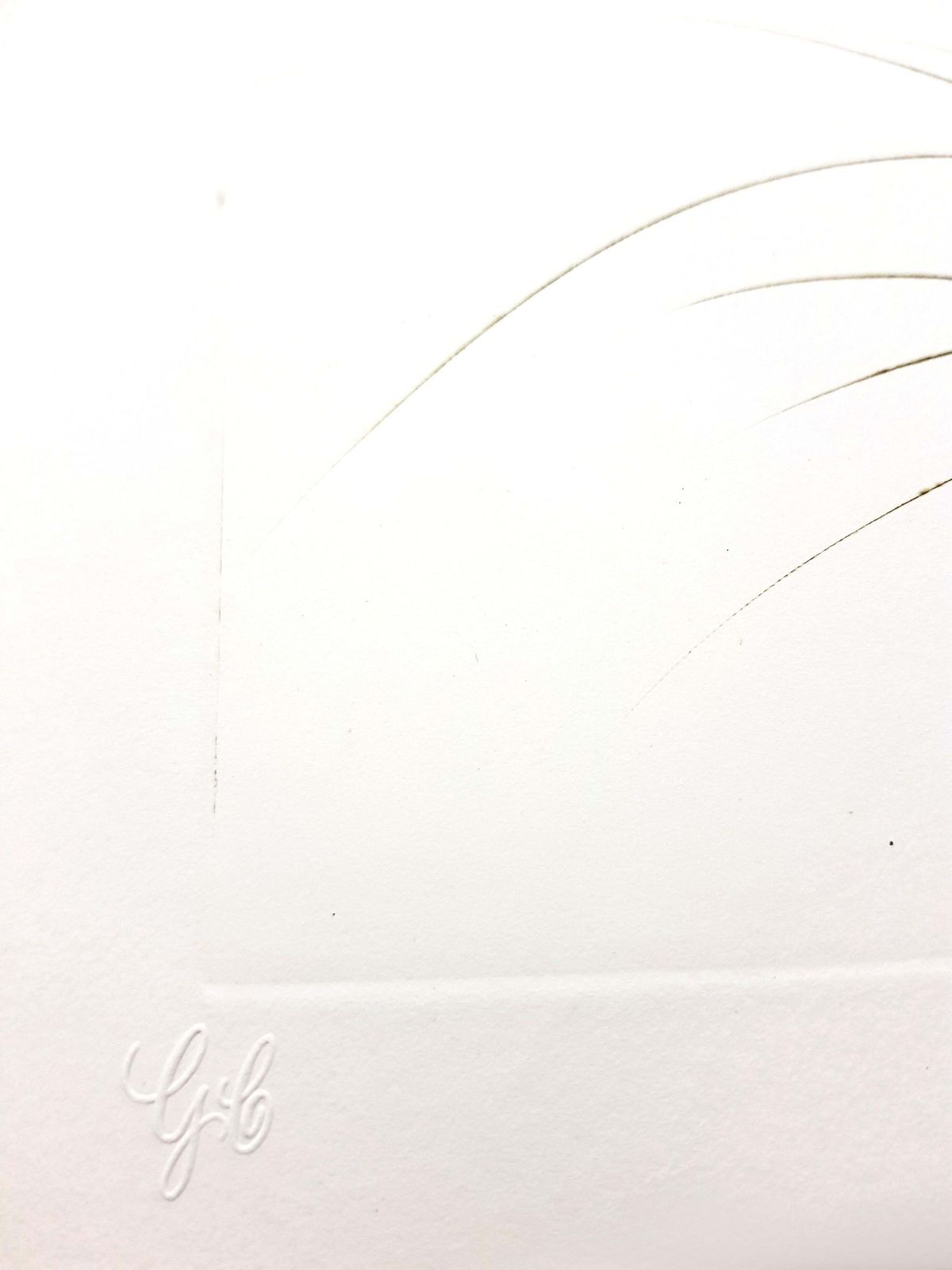 Salvador Dalí­Salvador Dali   Brother Ogrin, The Hermit   Original Etching1970 photo vinterior