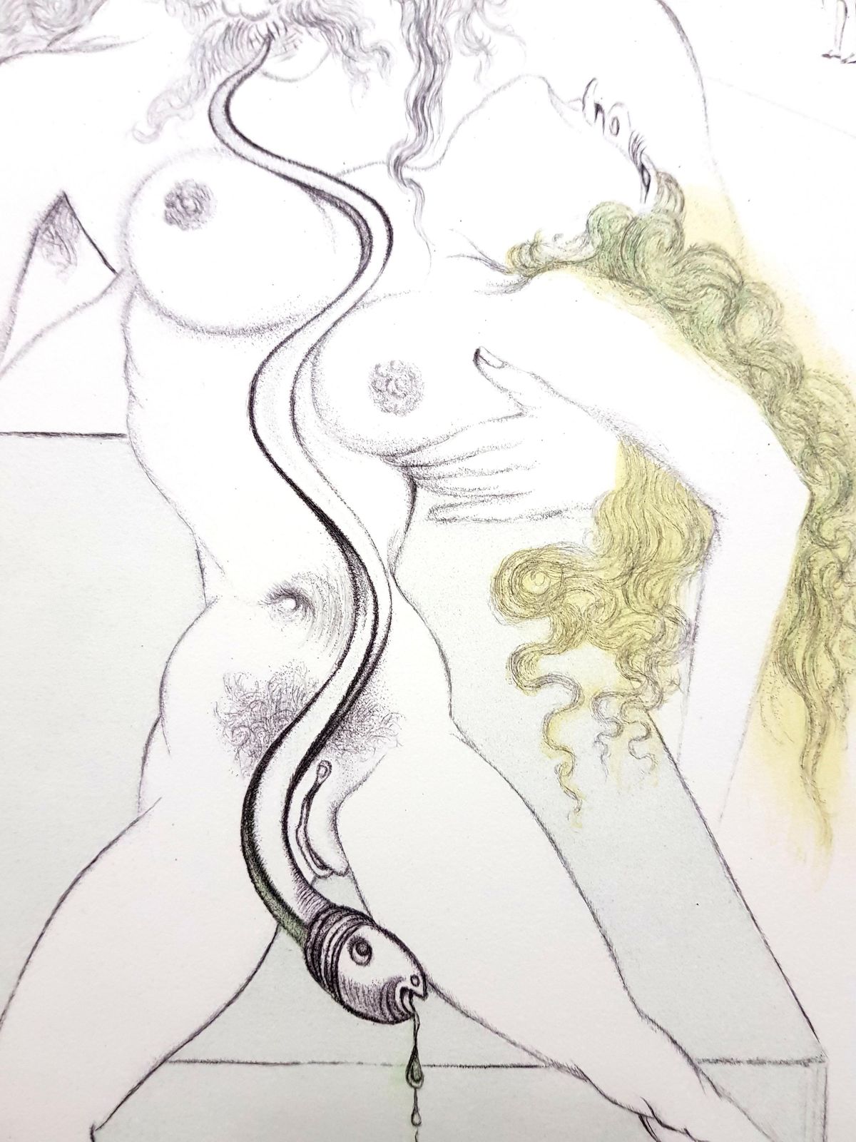 Salvador Dalí­Salvador Dali   Nude Couple1967 photo for sale