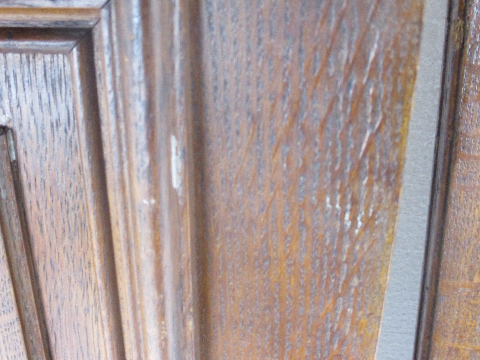 Pair Antique Hand Carved Oak Leafs Door Panels Architectural Salvaged Wow photo for sale