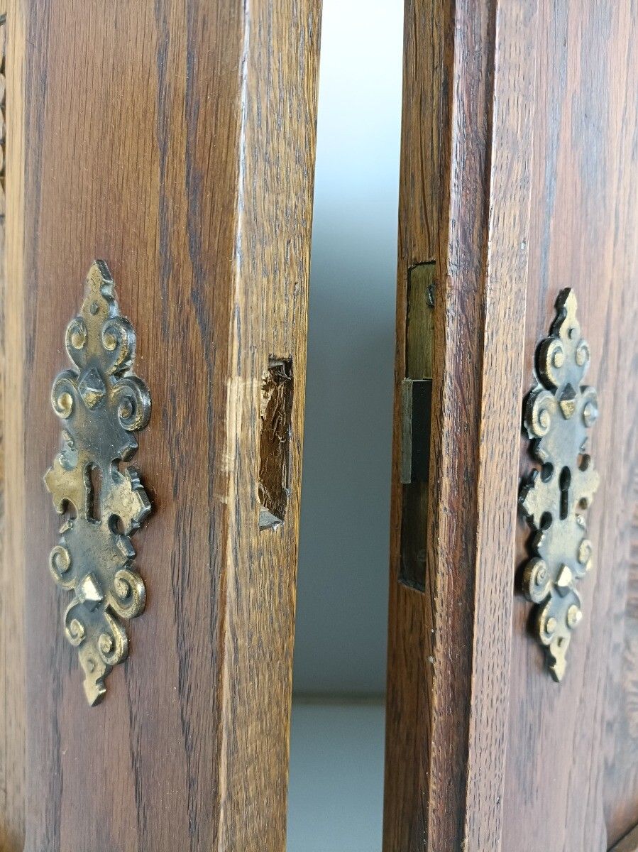 Pair Antique Carved Wood Door Panels Brass Trims Breughel Style Architectural Sa photo vintage