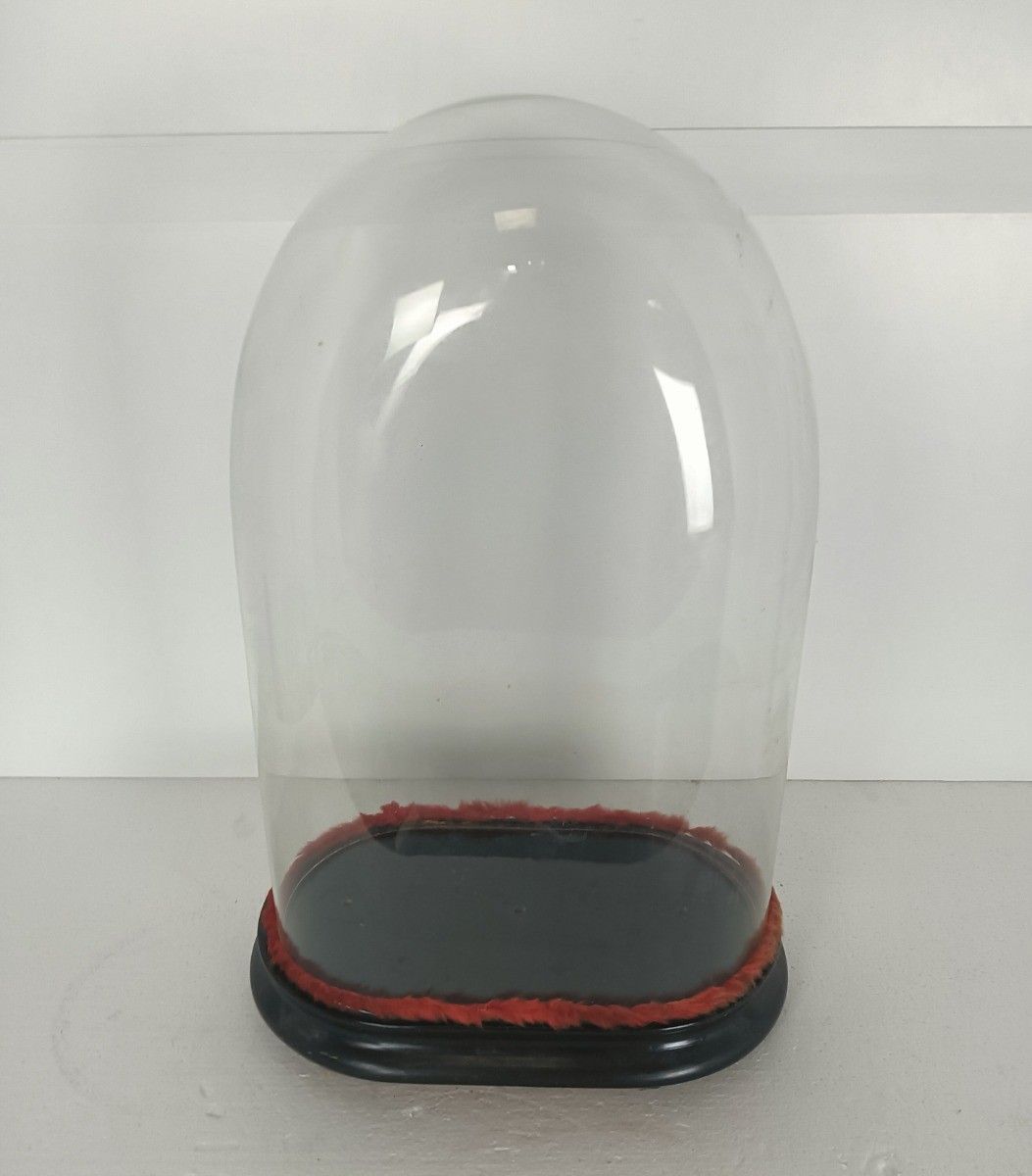 Antique Victorian Oval Hand Blown Glass Globe Dome Doll Clock 18.11" 11.41"6.88" photo furniture