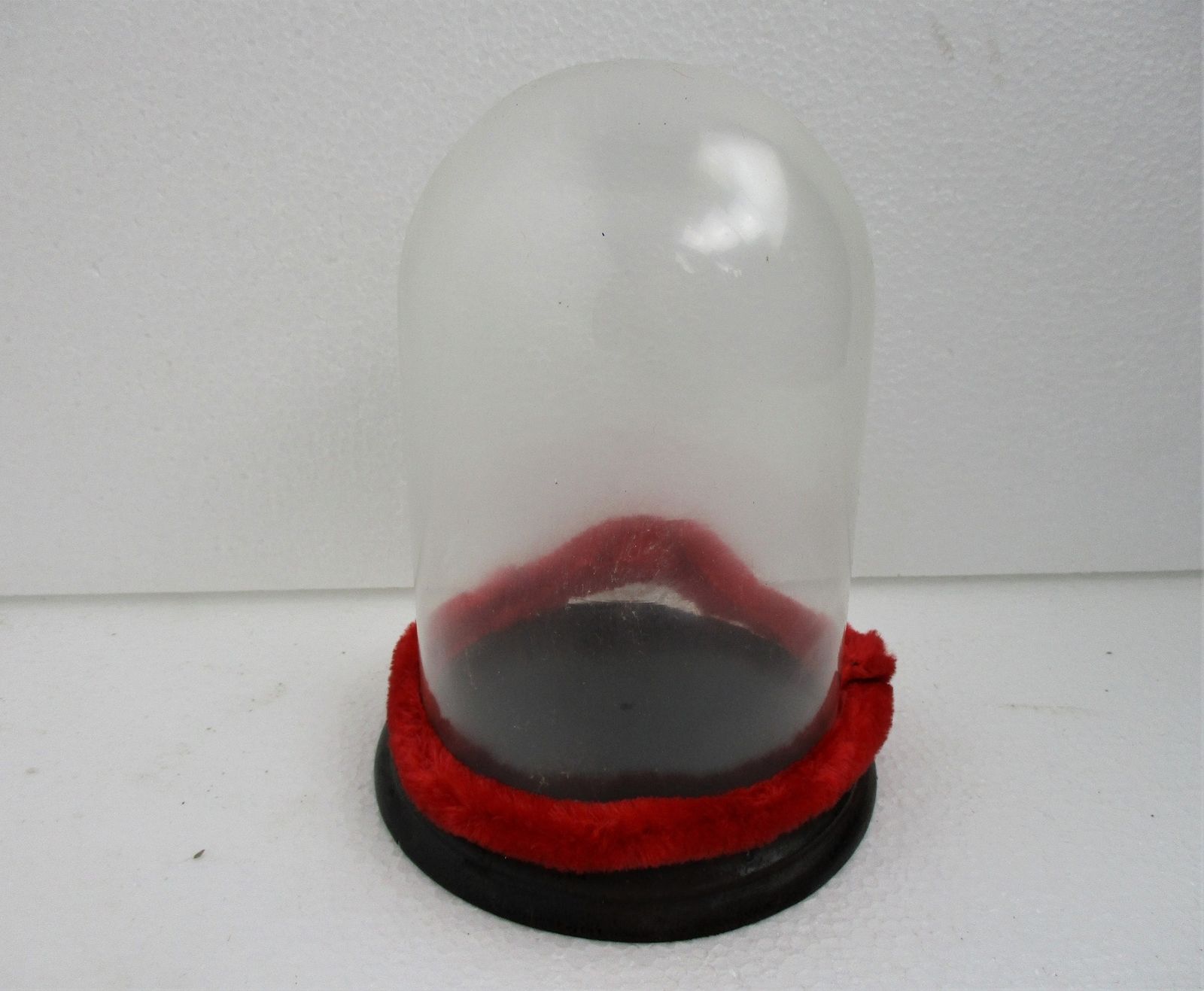 Small Antique Round Hand Blown Glass Globe Dome Taxidermy Steampunk Sweet 6.29&Q
