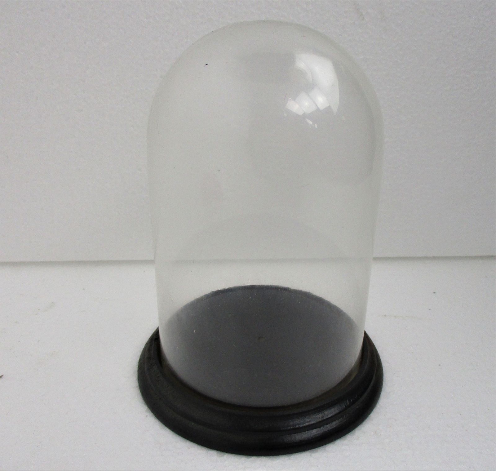 Small Antique Round Hand Blown Glass Globe Dome Taxidermy Steampunk Sweet 6.29&Q photo furniture