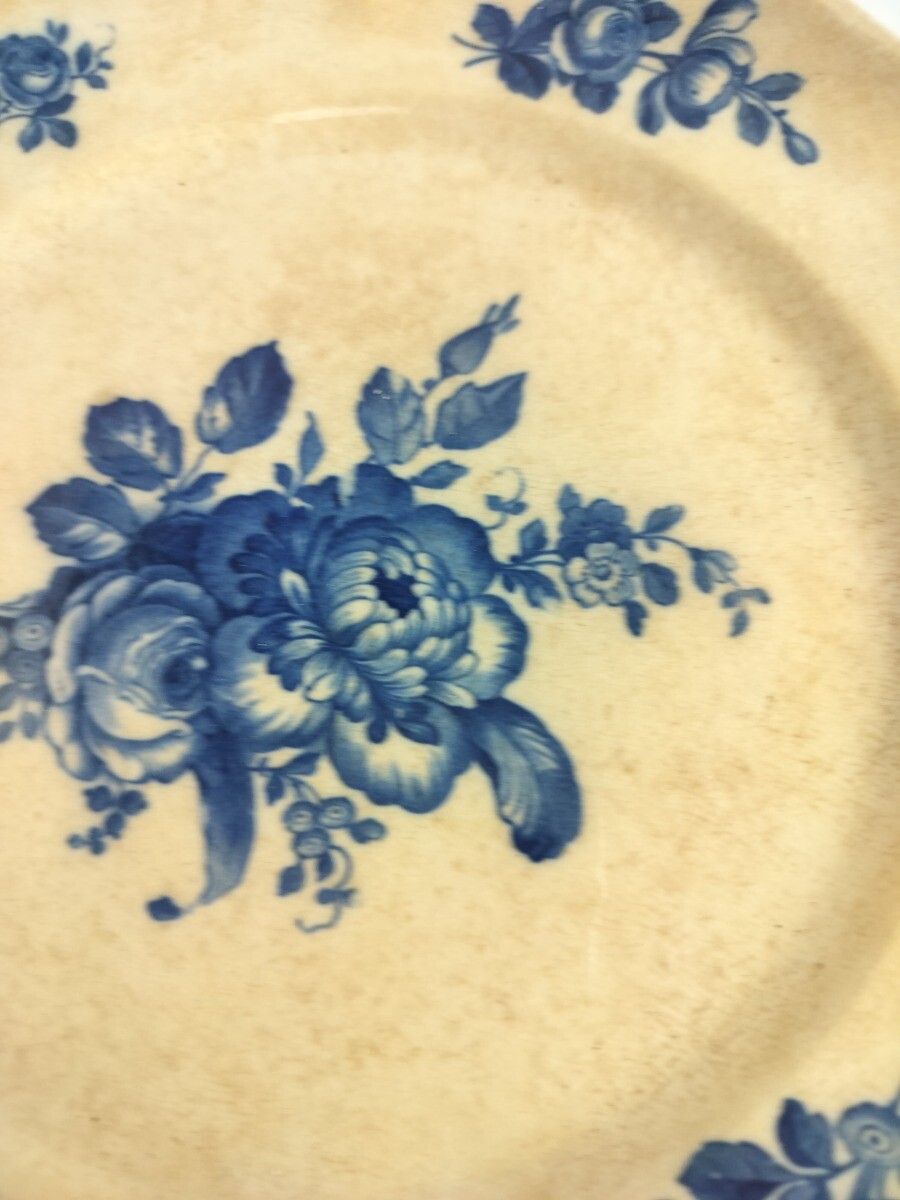 Antique 1900 Dinner  Plates 6 Pieces  Boch Mettlach Rare Blue Rose  Art Nouveau photo Home Decor