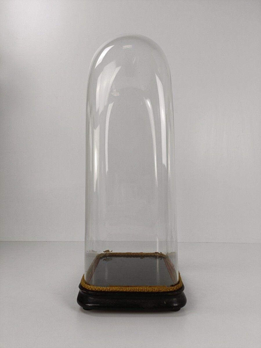L Antique Victorian Oval Hand Blown Glass Globe Dome Doll Clock 23.03" H 10.55"W photo buy