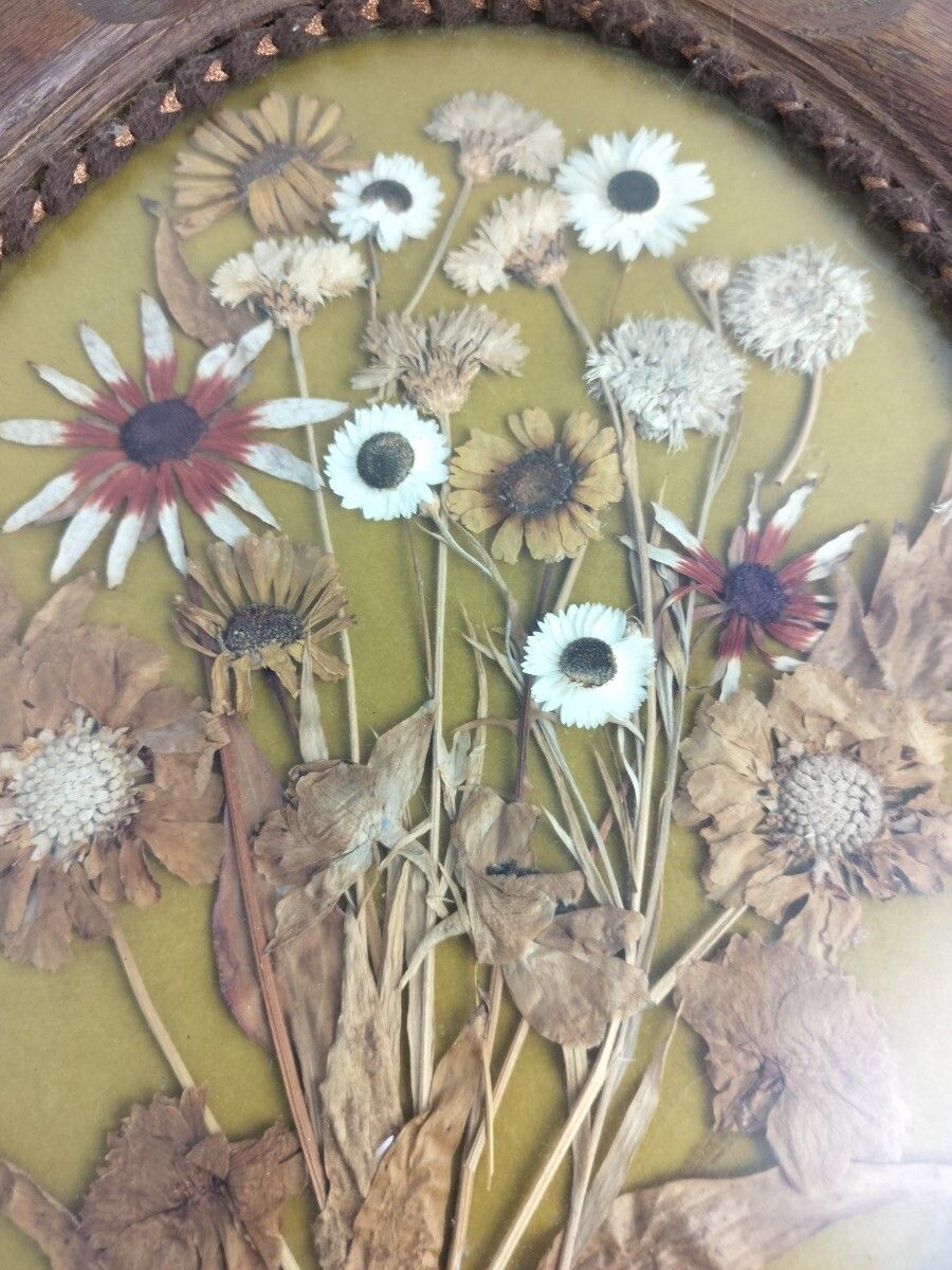 Oval Wooden Framed Shadow Box Dried Flowers Vintage Wall Hanging Carved Ornate W photo buy