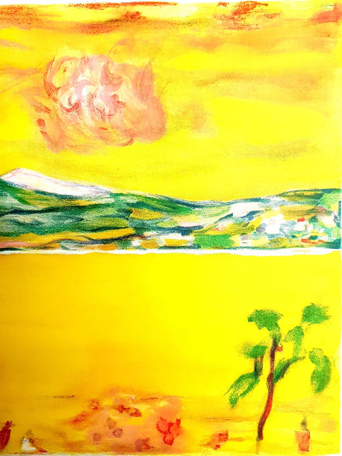 Pierre Bonnardpierre Bonnard   Sunset On The Mediterranean   Original Lithograph1940 photo vinterior