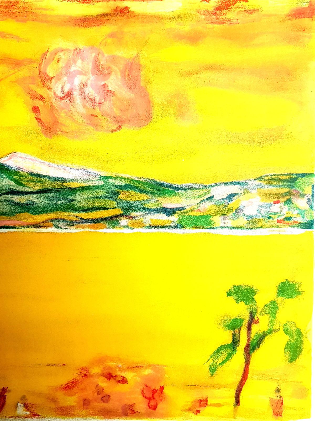Pierre Bonnardpierre Bonnard   Sunset On The Mediterranean   Original Lithograph1940 photo buy