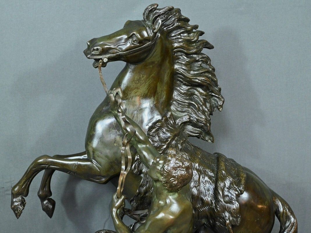 Large Bronze “The Horse Of Marly” After Coustou – Early 20th Century photo buy