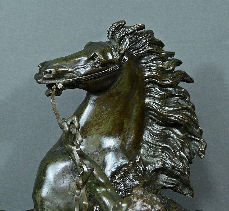 Large Bronze “The Horse Of Marly” After Coustou – Early 20th Century photo vintage