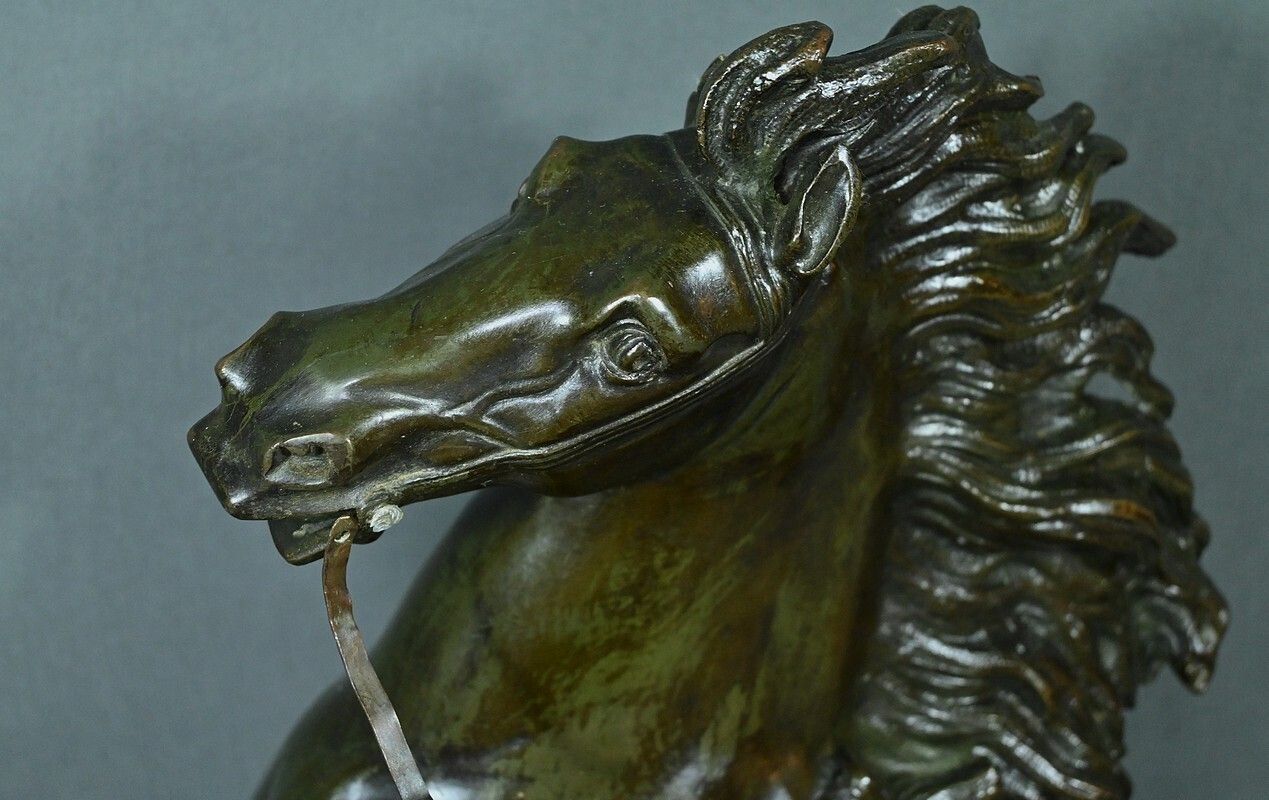 photo furniture Large Bronze “The Horse Of Marly” After Coustou – Early 20th Century