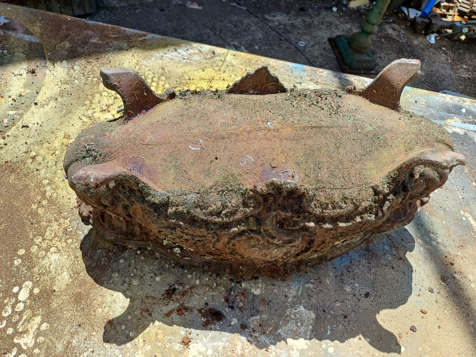 1 Cast Iron Planter 1900 From Charleville   Mézières Rocaille Style photo vintage
