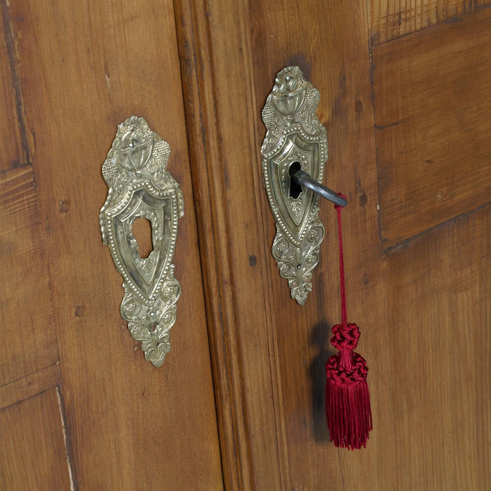 Austrian 18th Century Empire Style Two Doors Larch Wood Armoire Wardrobe Cabinet photo Furniture