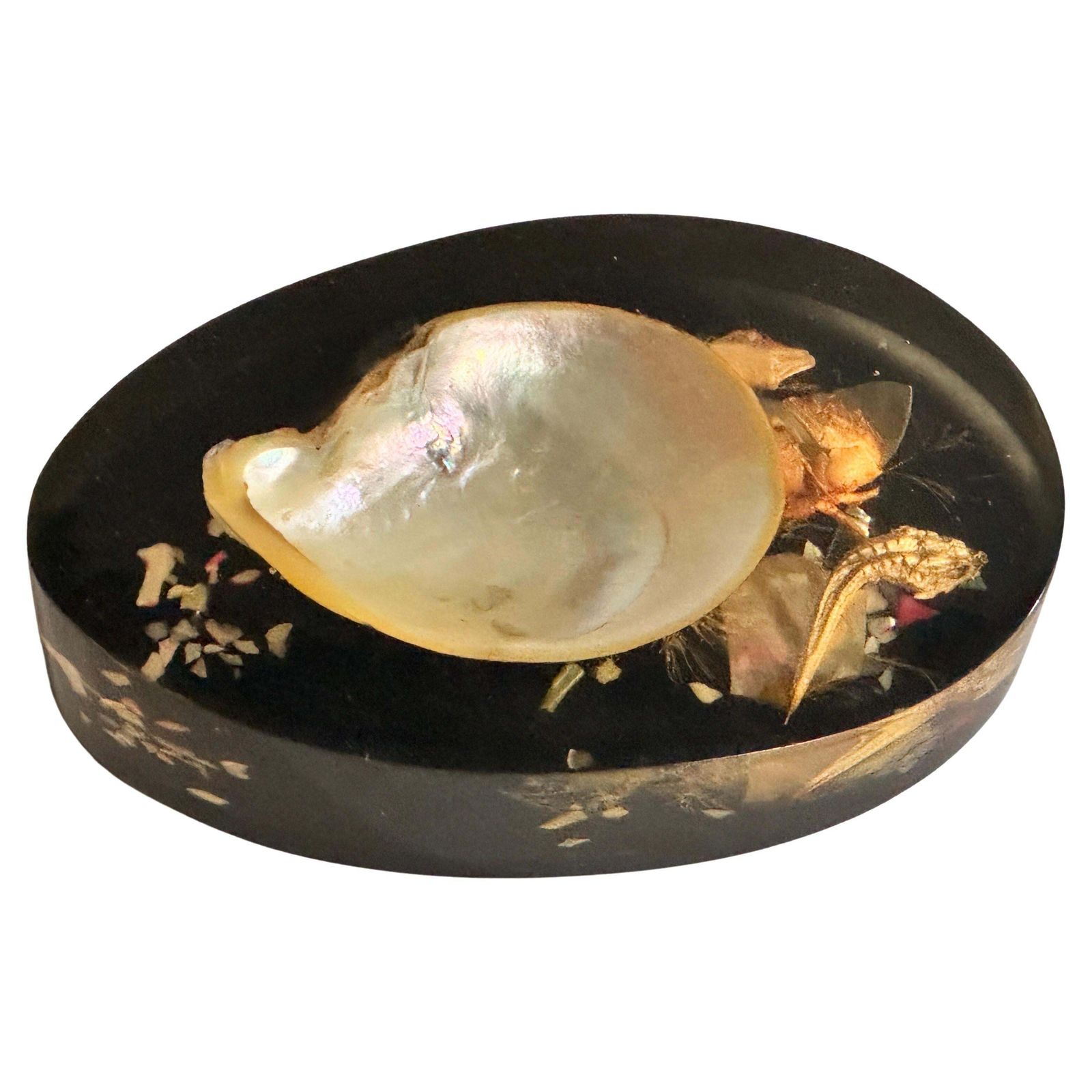 Ashtray In Black Resin With Shell In Natural And Black Color France 1970