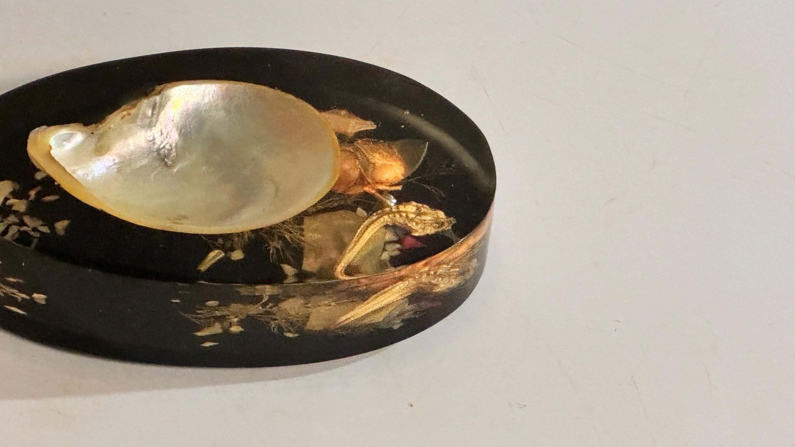 Ashtray In Black Resin With Shell In Natural And Black Color France 1970 photo 372.0
