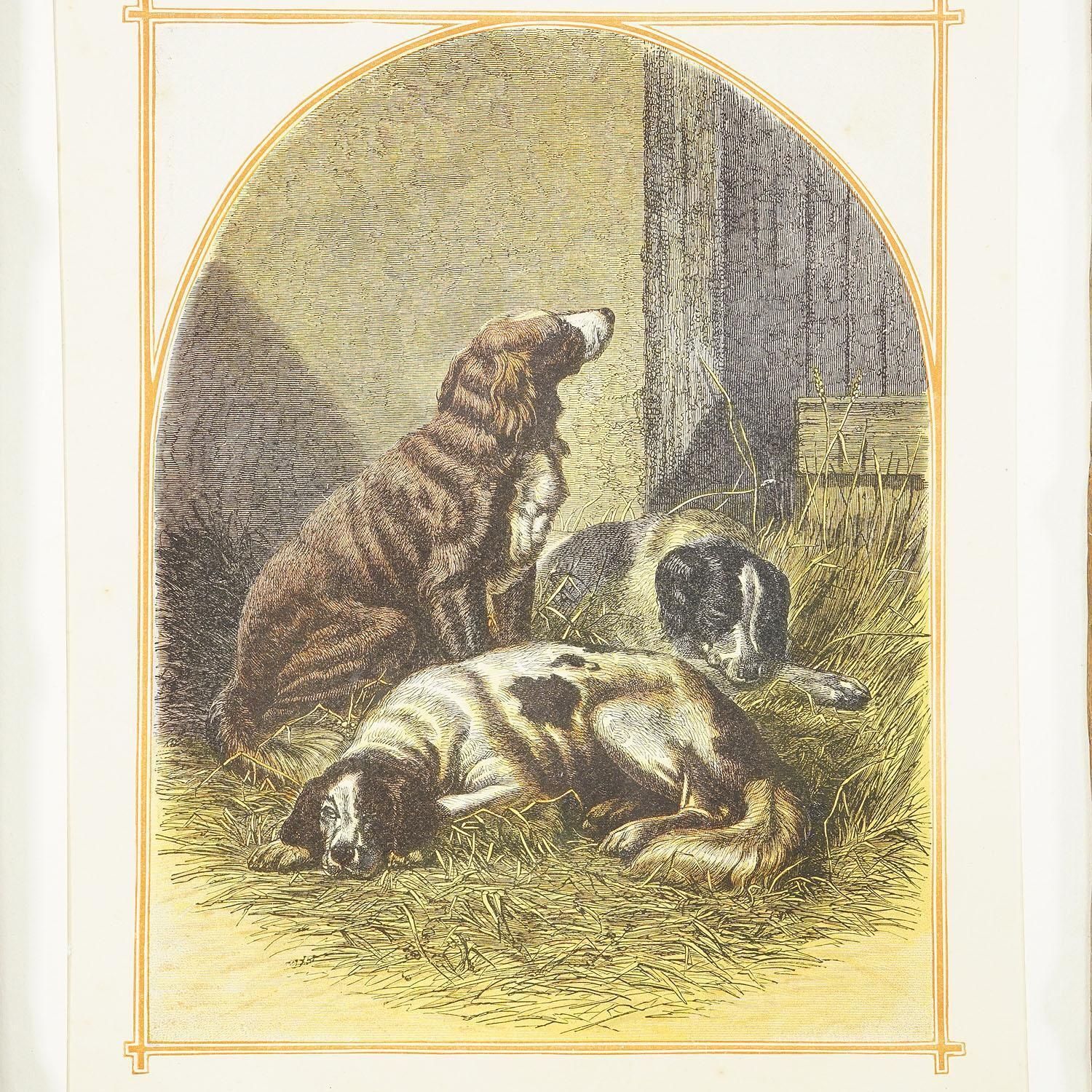 Antique Lithography Print With Sporting Dogs 19th Century photo furniture