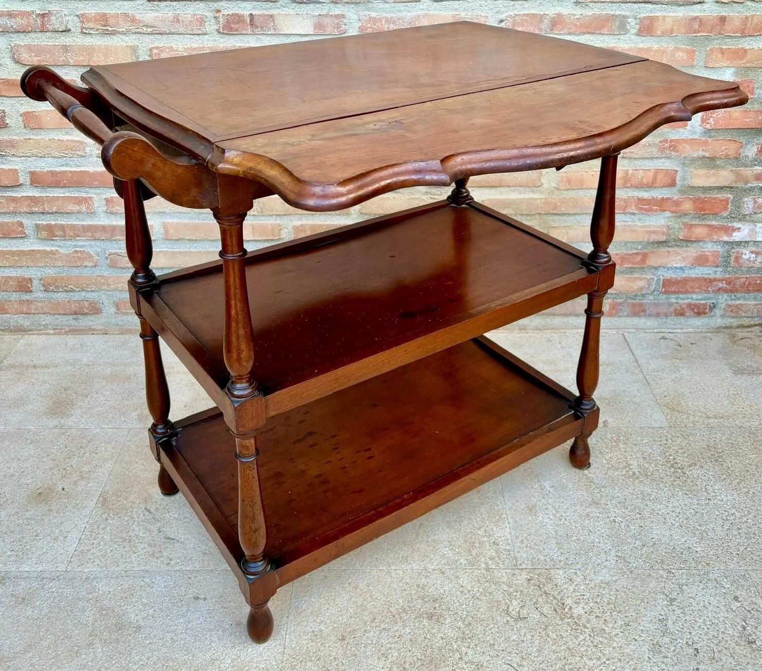 Vintage Serving Trolley With Wheels And Wings, 1970s photo furniture