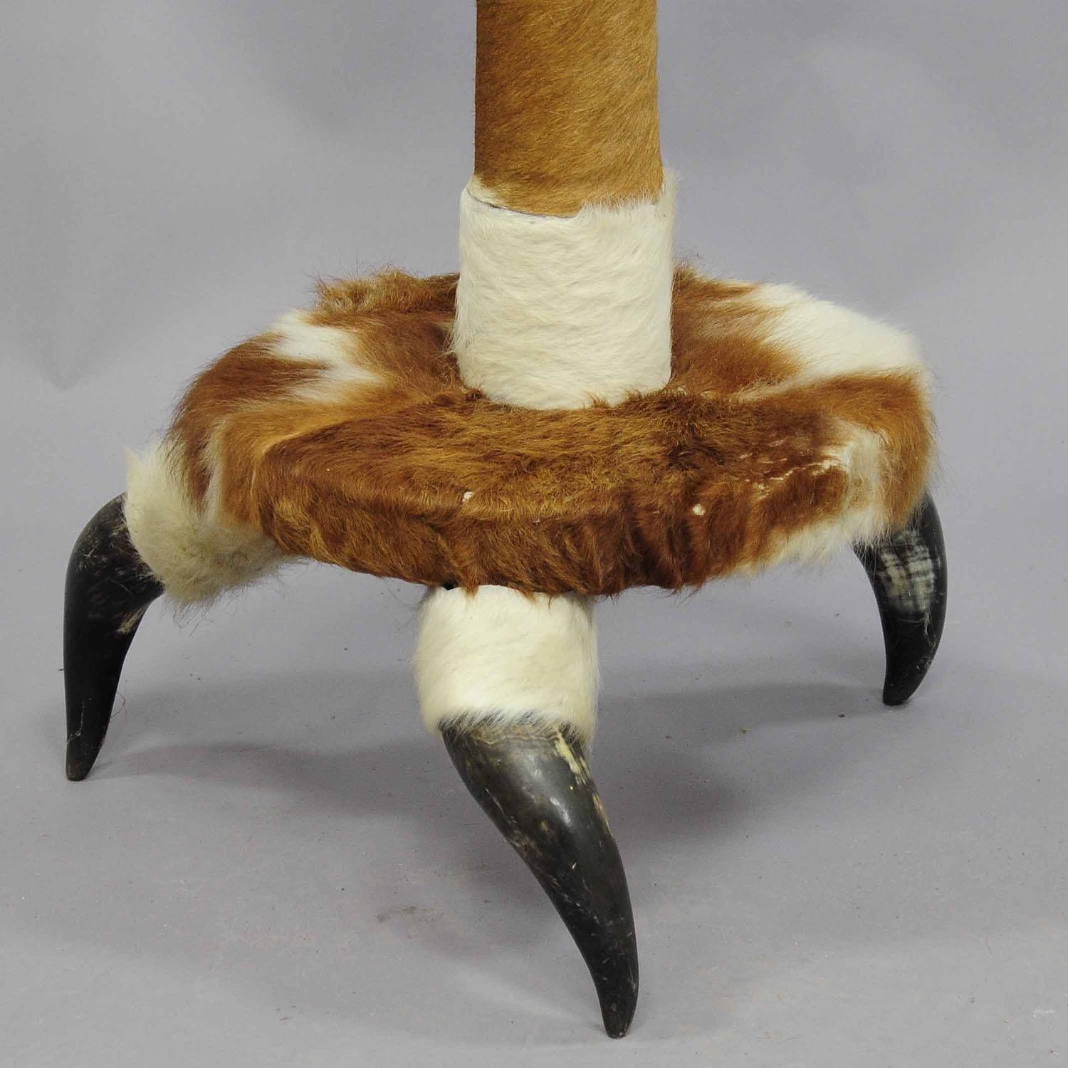 Antique Bull Horn Hall Stand With Cow Fur Ca. 1870 photo for sale