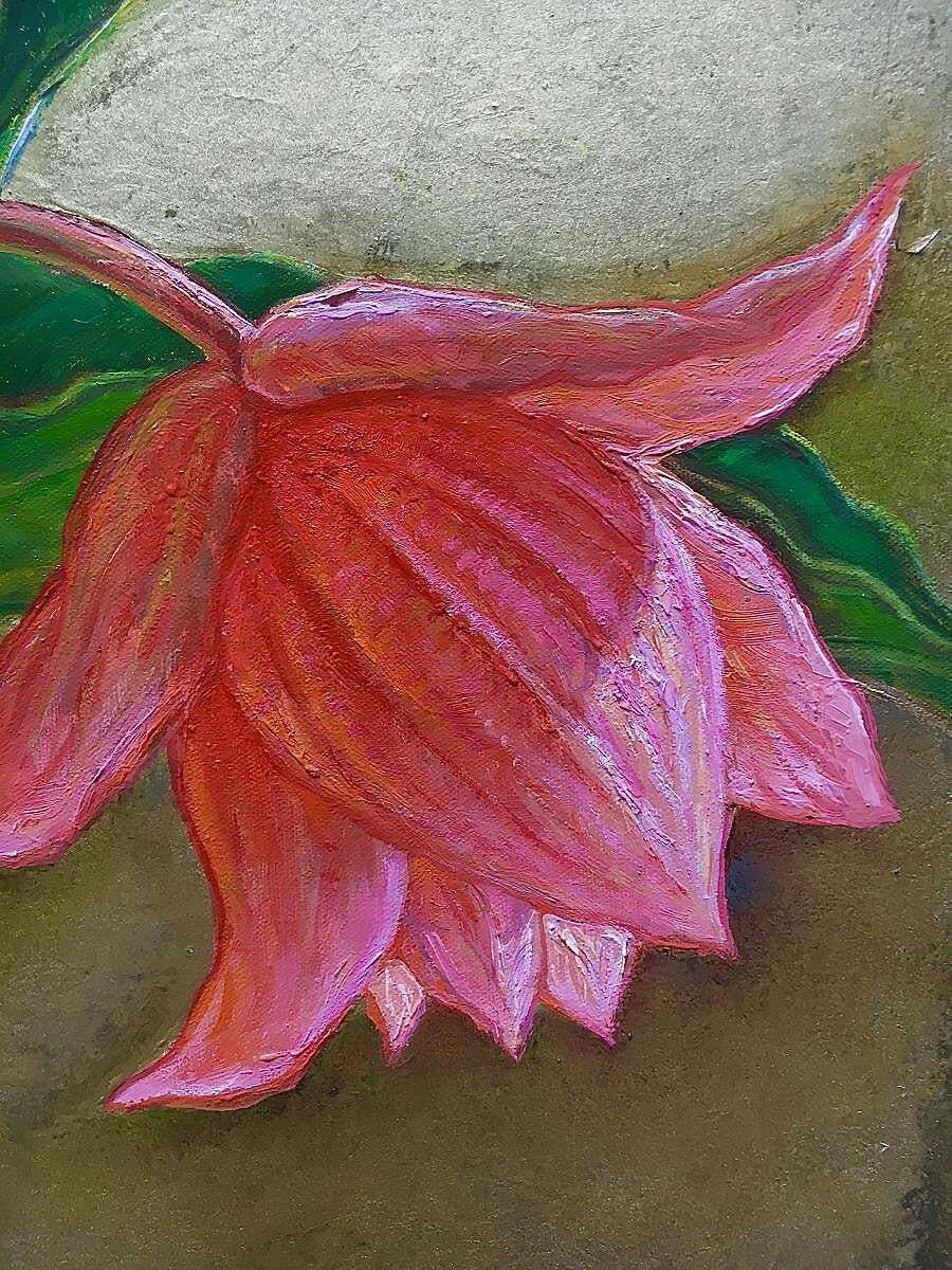 Igor Maikovmedinilla Magnifica  Oil/Canvas, 70x90 Cm, 20232023 photo for sale