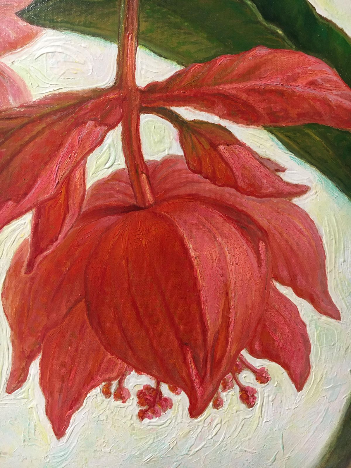 Igor Maikovmedinilla Magnifica  Oil/Canvas, 70x90 Cm, 20232023 photo Art