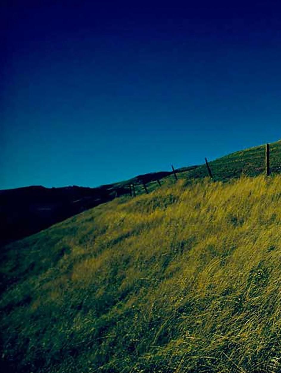 Art Kane C Print Art Kane   Estate Green Flag, 1970 1970 photo Art