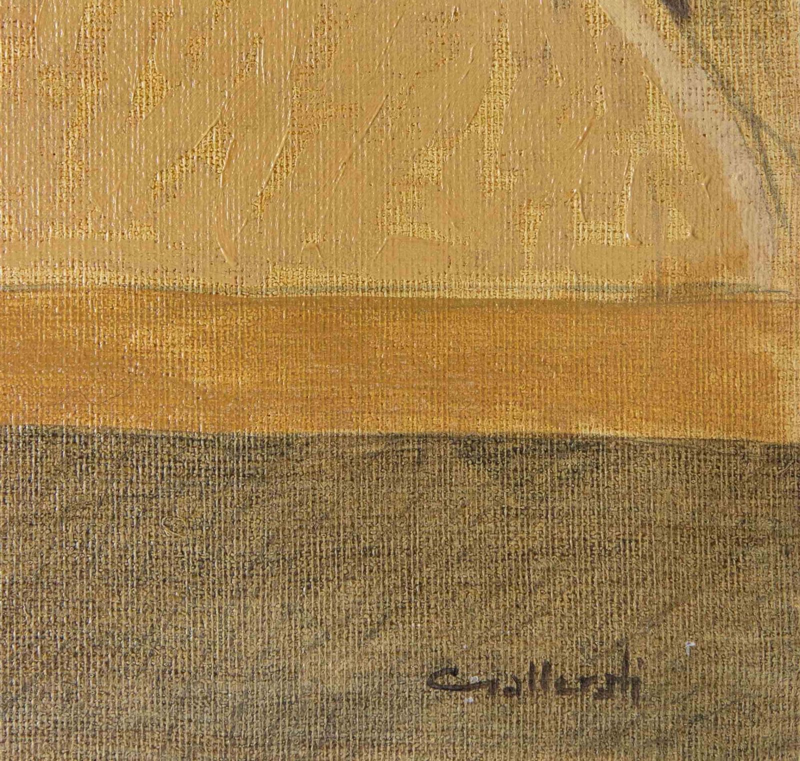 Alberto Galleratia Very Rare Specimen Of Lopopulus   Paint By Alberto Gallerati   1970s1970s photo furniture