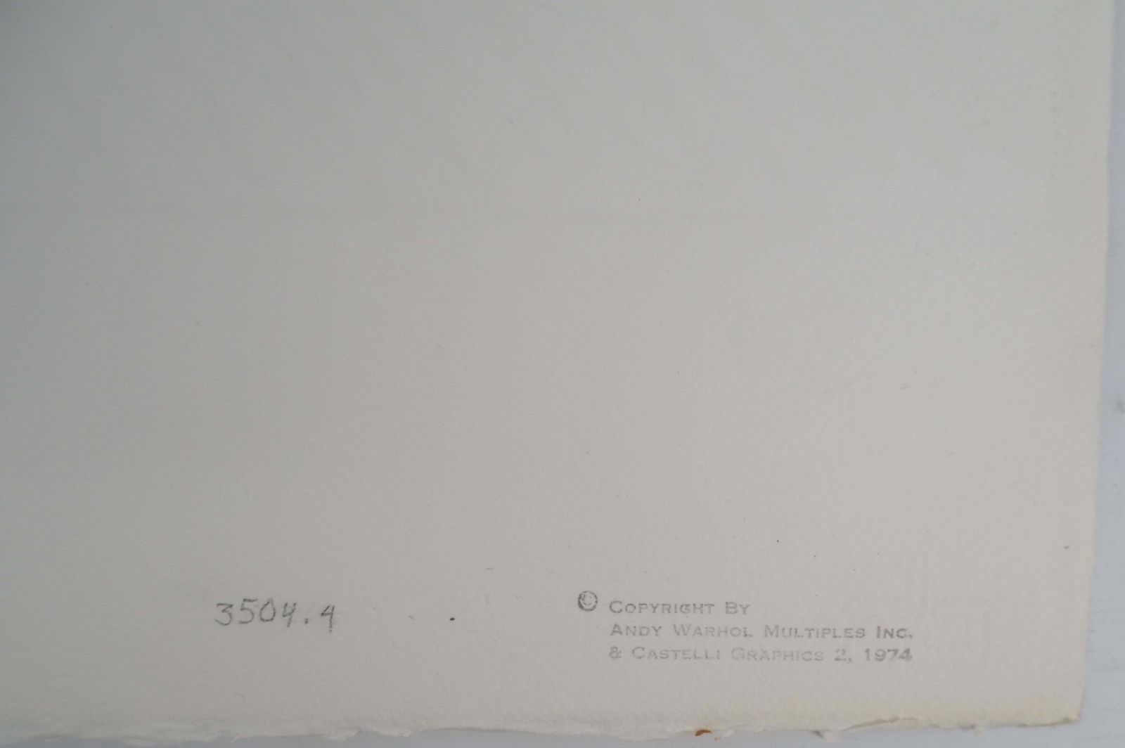 photo for sale Andy Warholflowers   Original Screen Print   Handsigned And /100 (Schellman II.101)1986