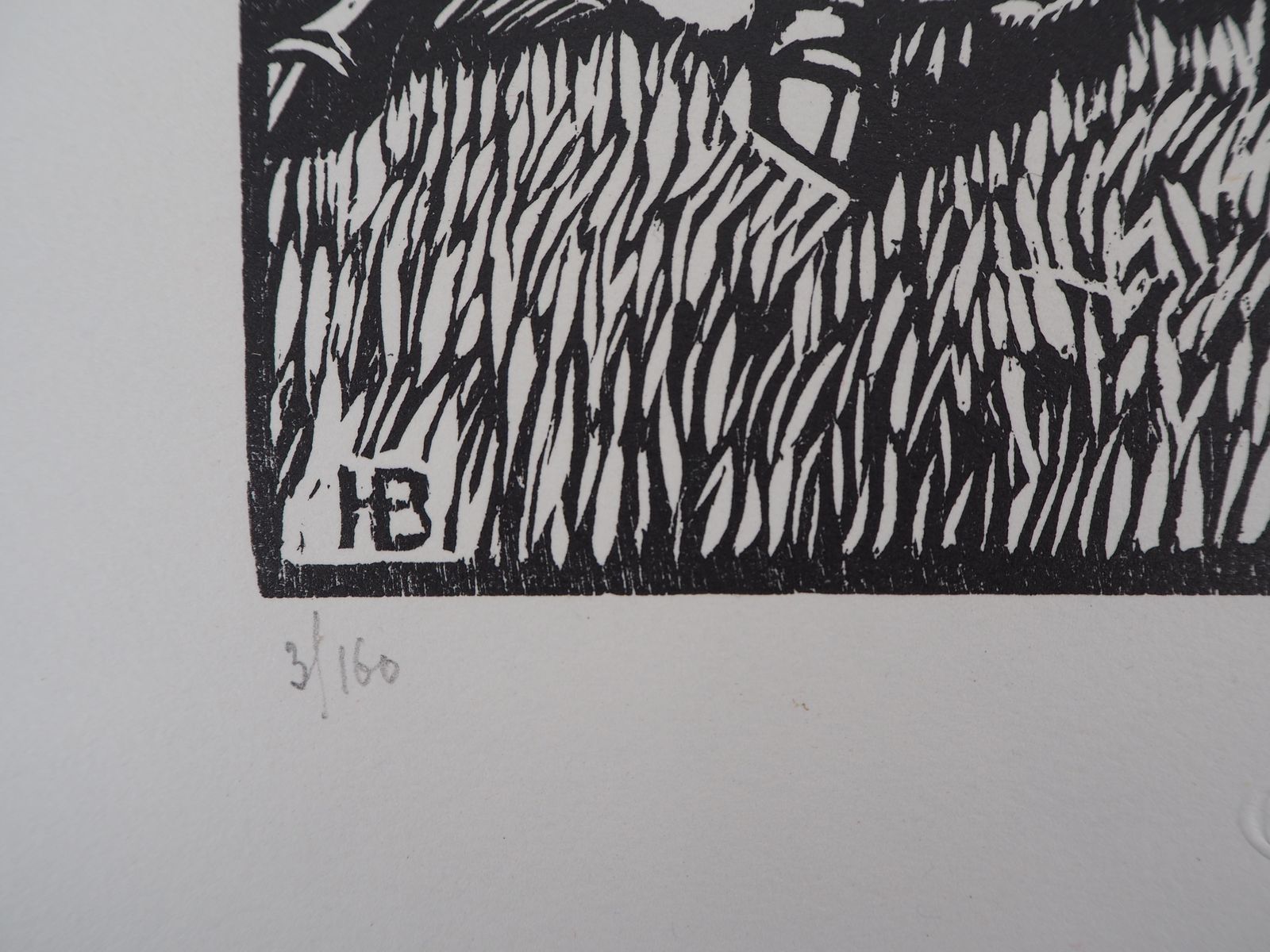 Honoré Broutellecentaur And Unicorn   Original Wooodcut, Handsigned & Numbered /1601929 photo buy