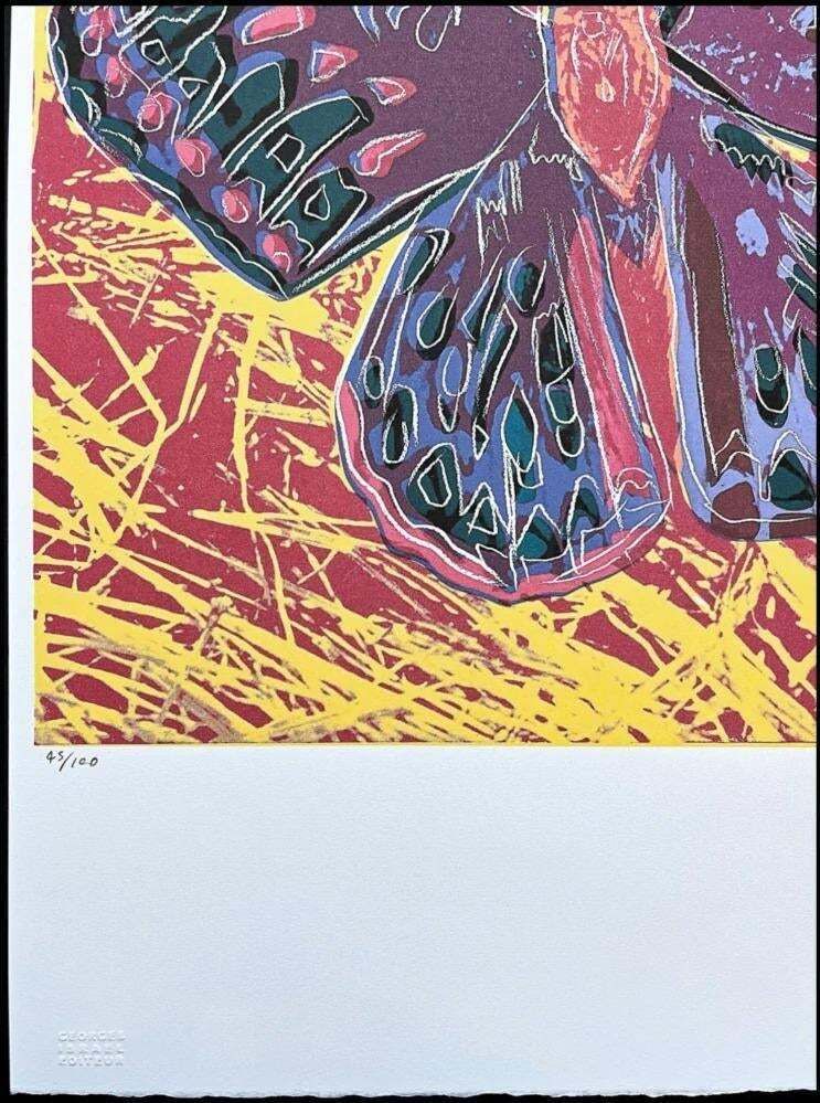 After Andy Warhol, Butterfly Red Yellow, 1980s, Lithograph photo for sale