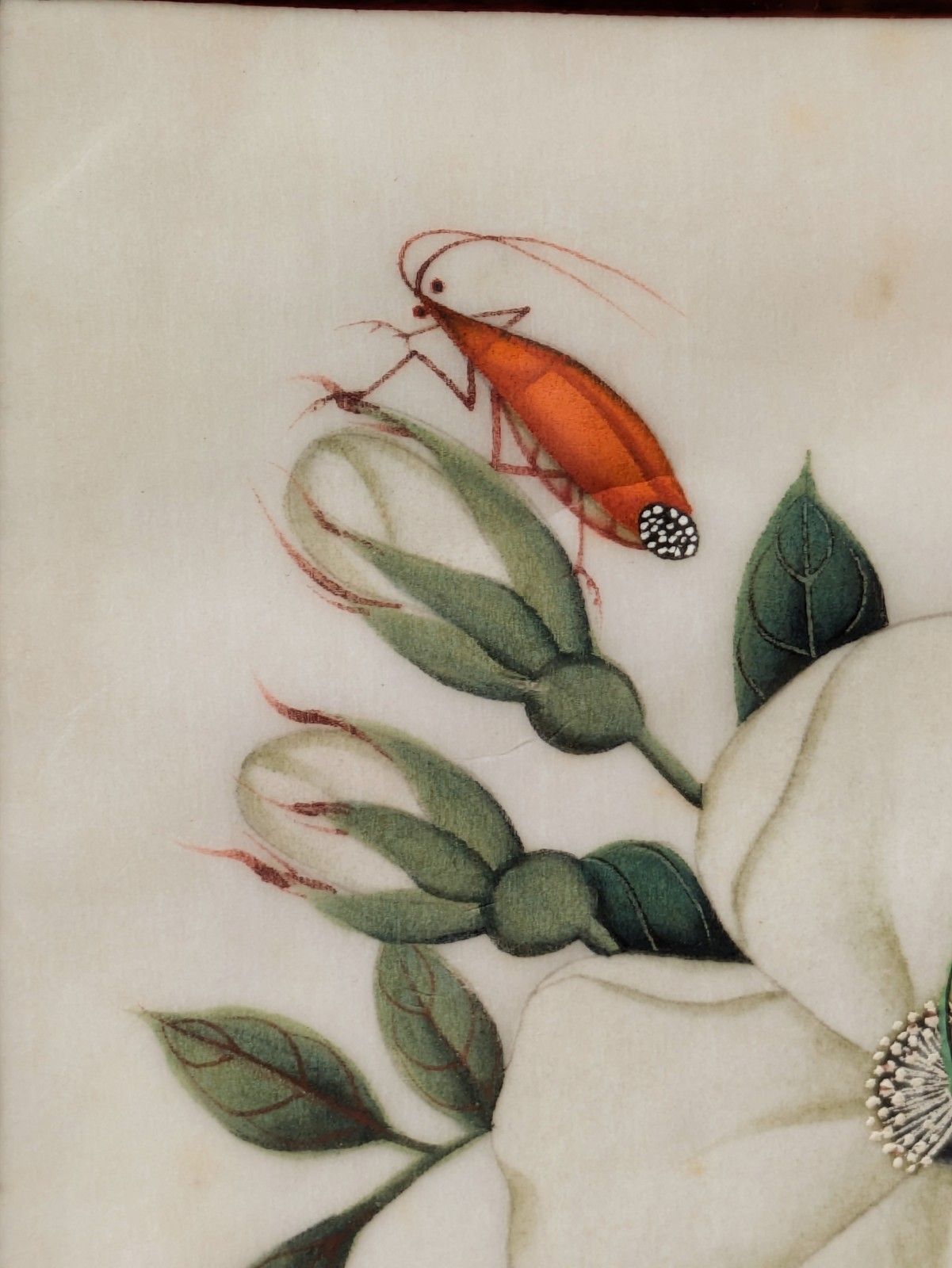 Antique Chinese Watercolour Painting Butterflies And Blossoms photo buy
