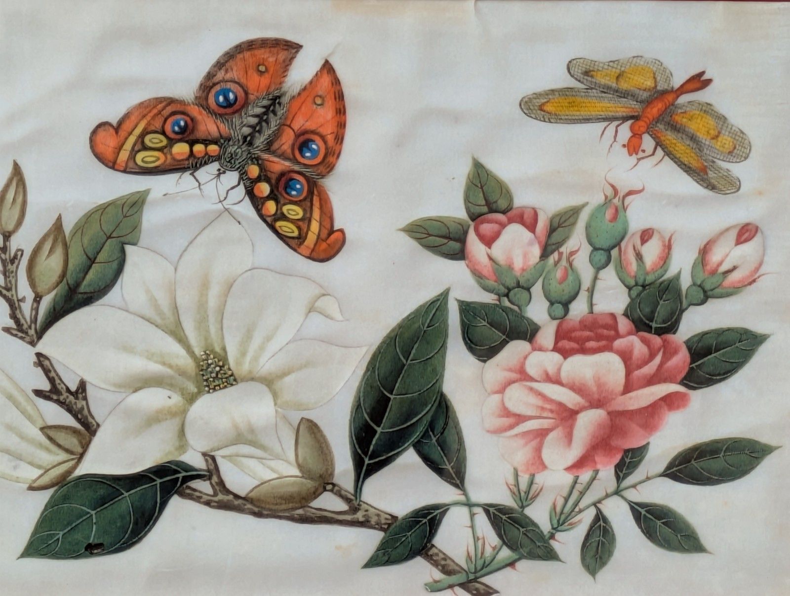 Antique Chinese Watercolour Painting Butterflies And Blossoms photo vinterior