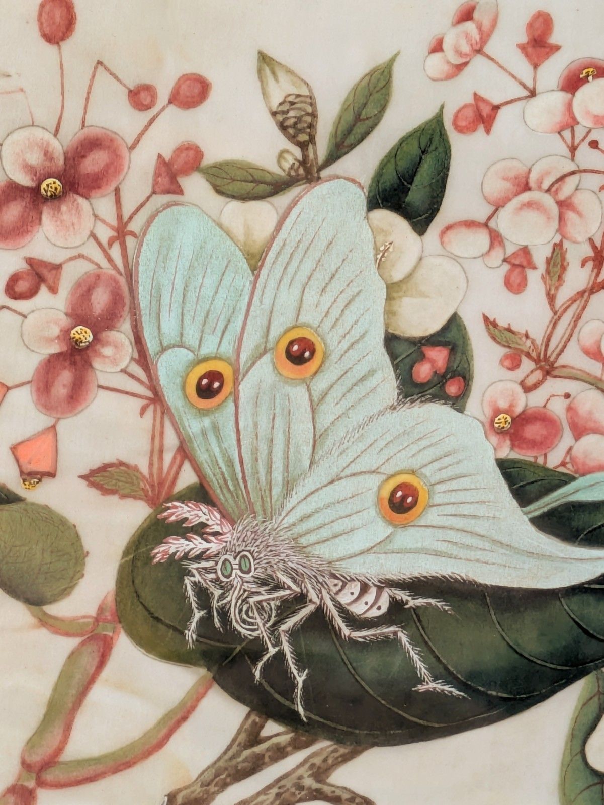 Antique Chinese Watercolour Painting Butterflies And Blossoms photo 185.0