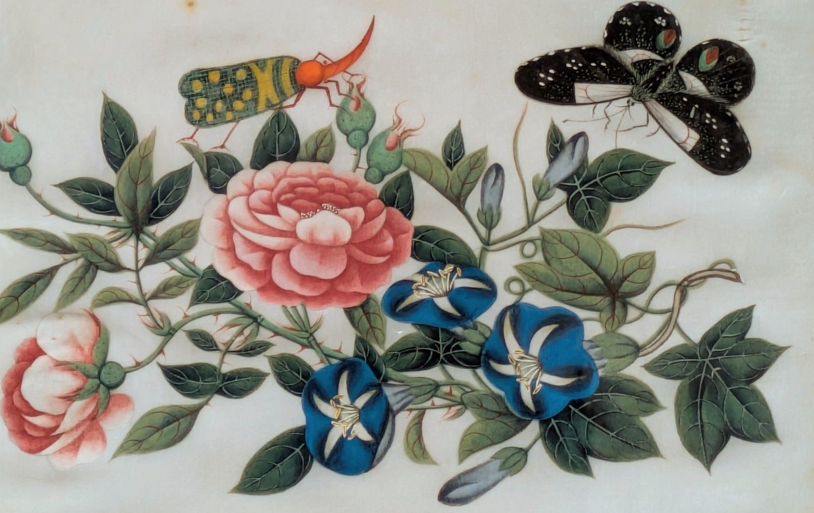 Antique Chinese Watercolour Painting Butterflies & Blossom photo vinterior