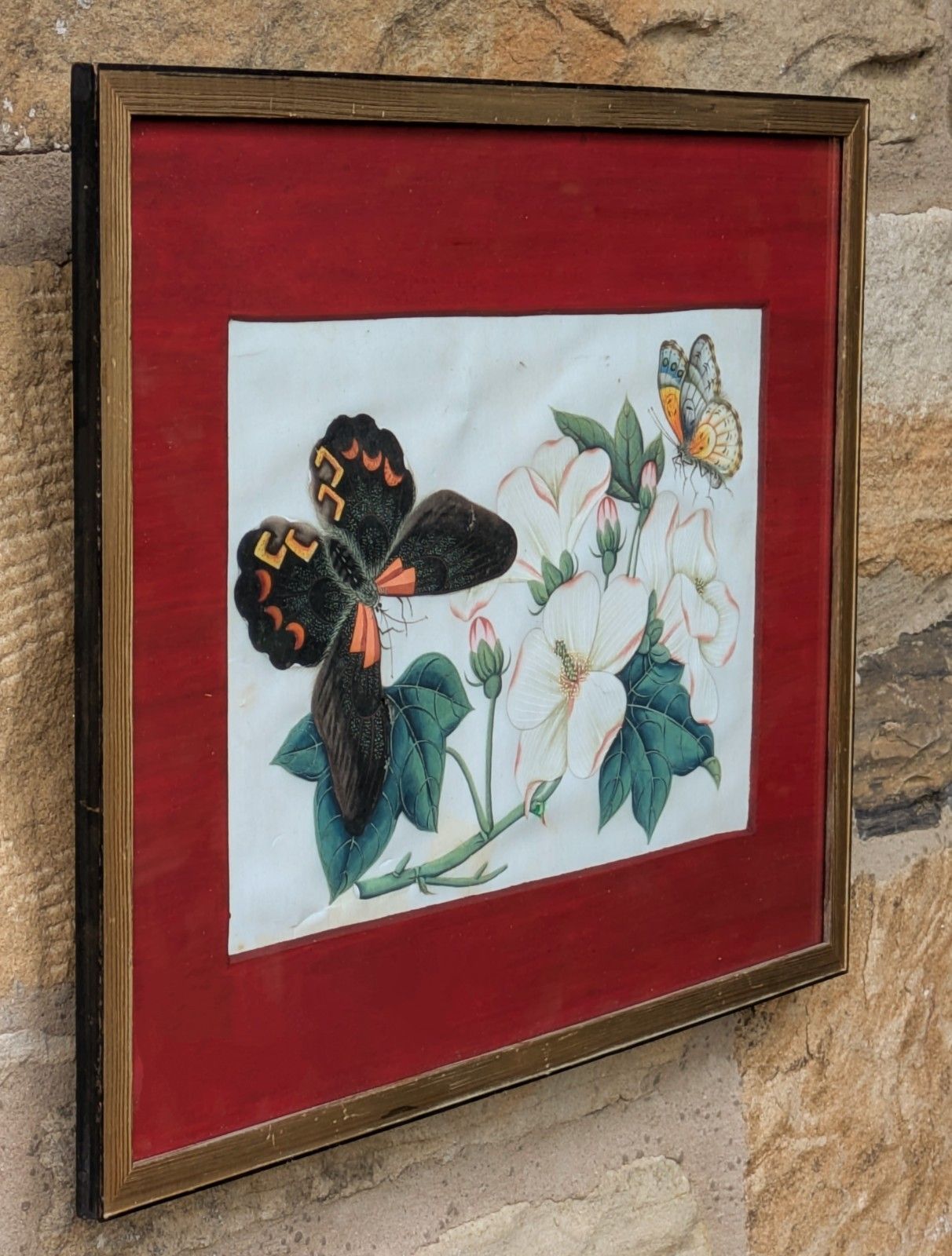 Antique Chinese Watercolour Painting Butterflies And Blossoms photo Art