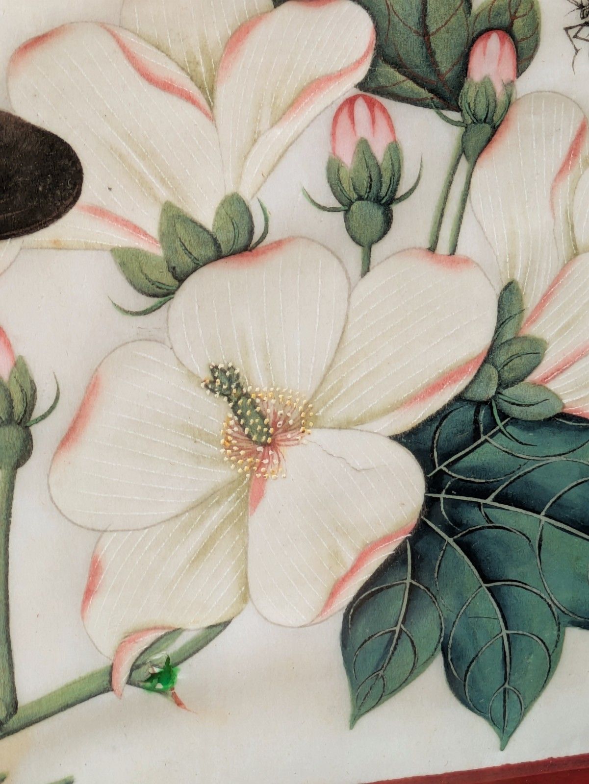 Antique Chinese Watercolour Painting Butterflies And Blossoms photo 185.0