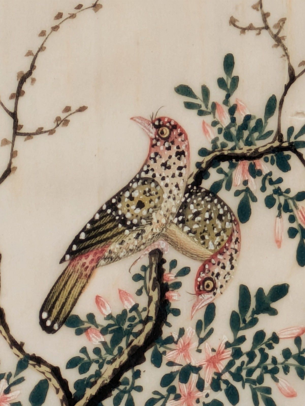 Antique Chinese Watercolour Painting Birds Among Branches photo 195.0