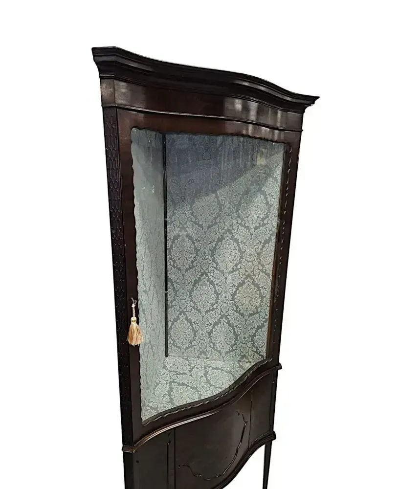 A Stunning Edwardian Chippendale Style Corner Cabinet photo for sale