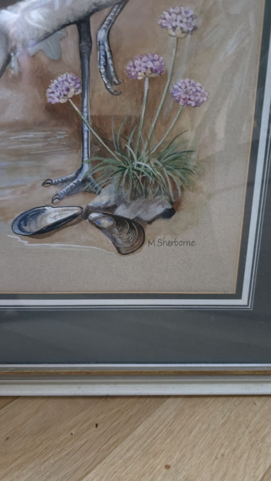 Vintage M Sherborne Signed Ornithology Watercolour Painting Of A Avocet 1971