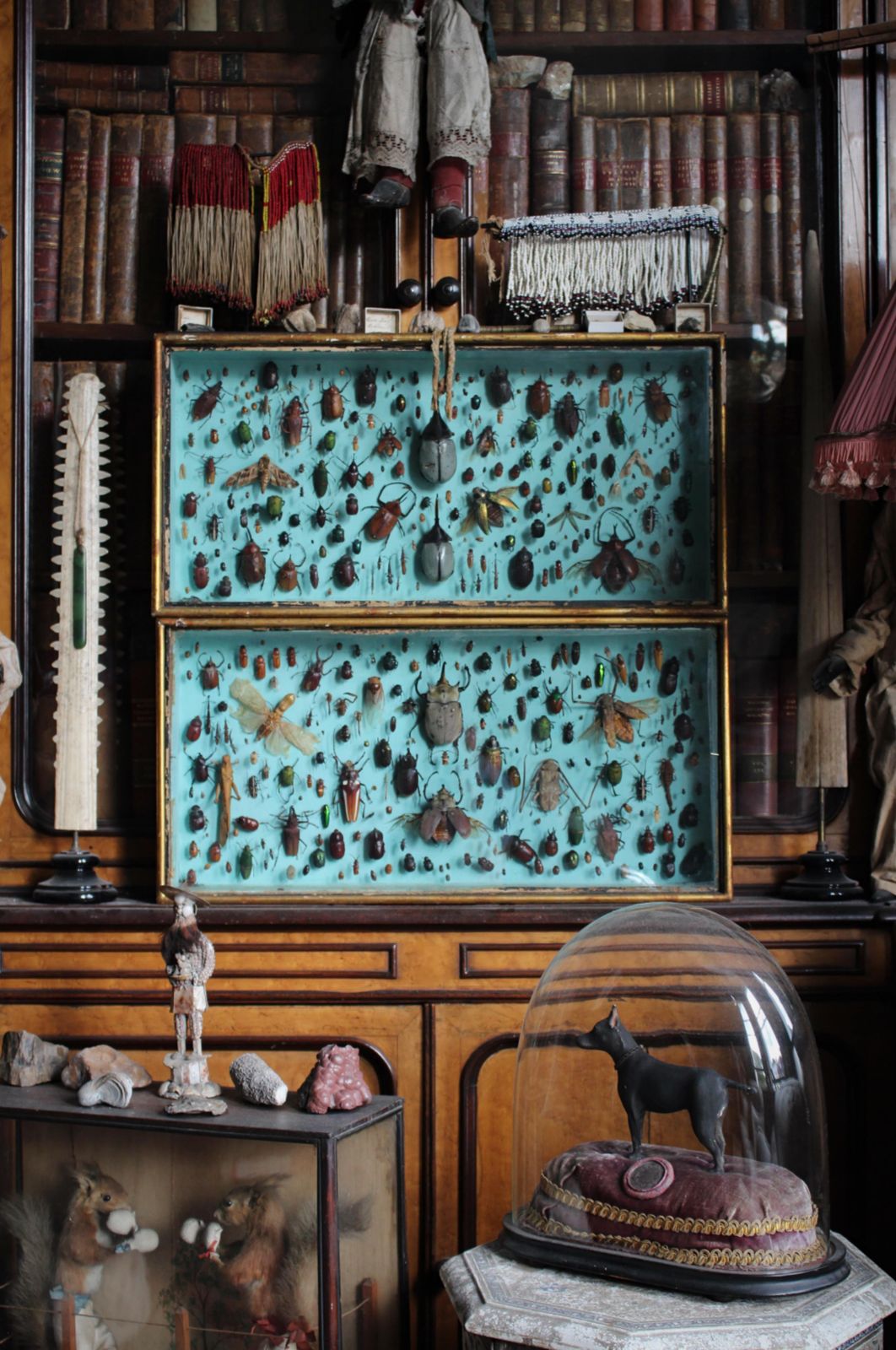 Pair Of Entomology Specimen Display Cases By J T Stockall London Taxidermy Curio photo furniture