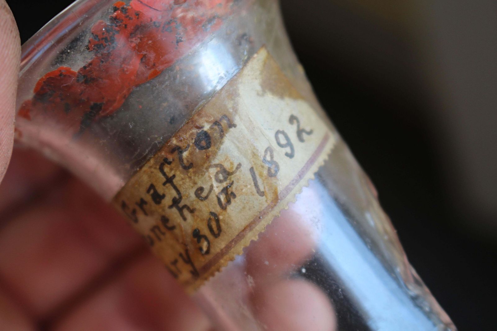 19th Century Maritime Curiosities Launch Bottle Shards Naval Sailors photo buy