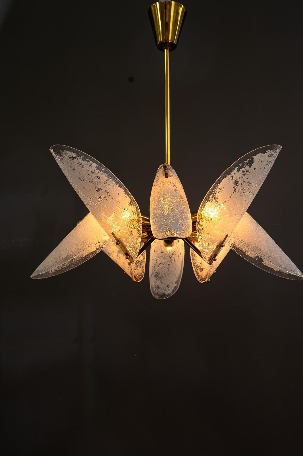photo vinterior Rupert Nikoll Chandelier With Original Lucite Shades Vienna Around 1960s