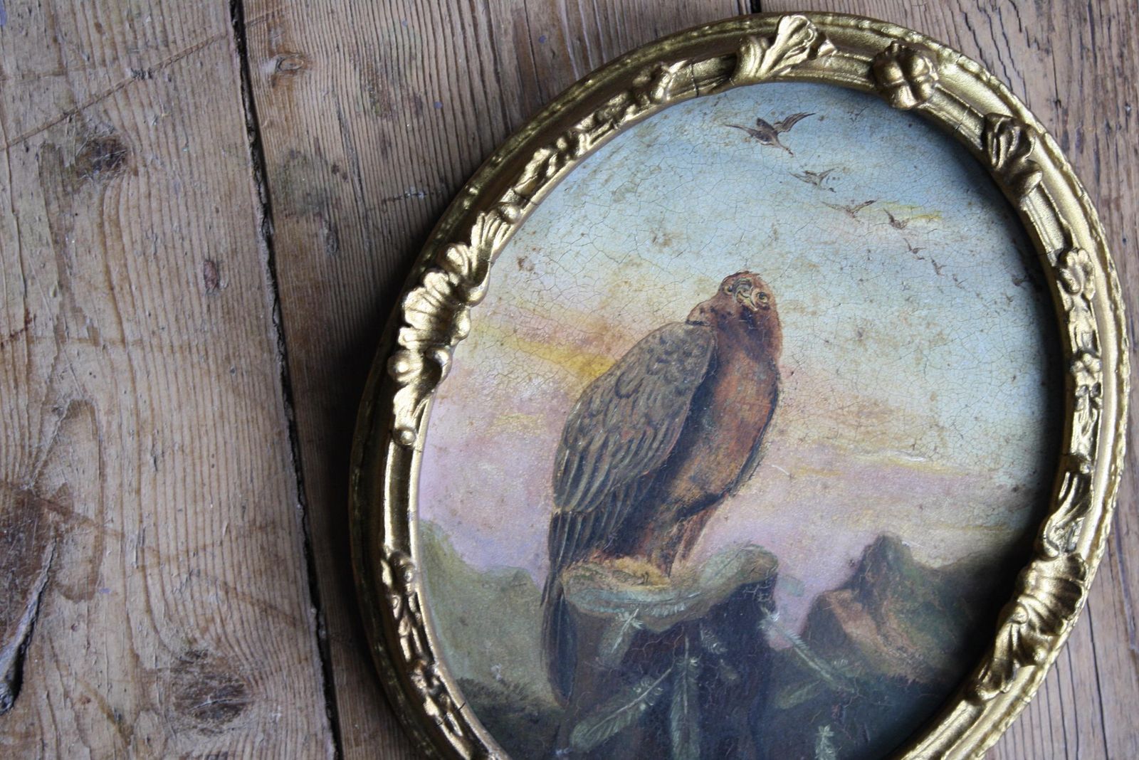 19th Century Oil On Tin Bird Of Pray Golden Eagle photo Art