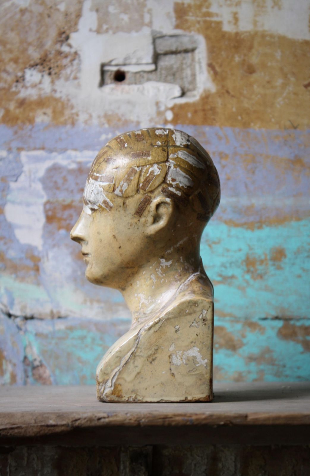 19th Century Plaster Phrenology Bust By Vago Of London, 1869 photo vintage