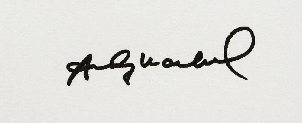 Andy Warhol, Volkswagen Purple, 1980s, Lithograph photo vinterior