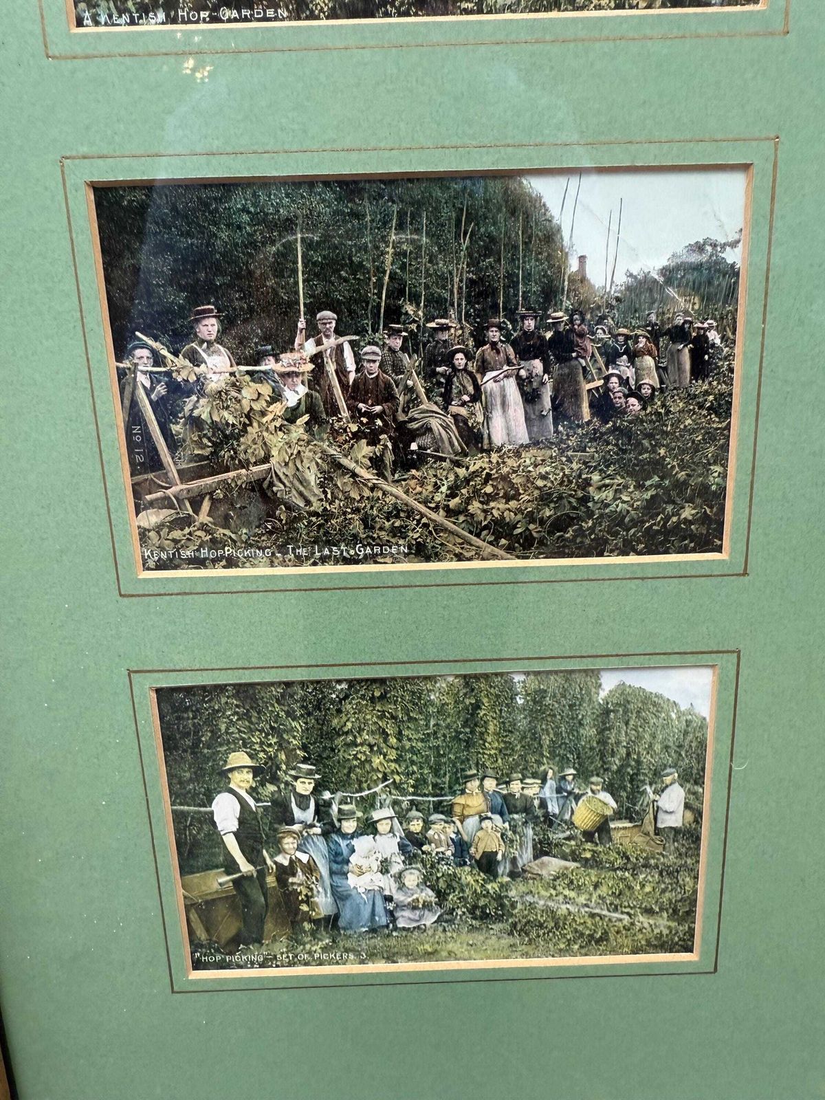 Antique Edwardian Hop Picking   Kent Series   Invicta   Hand Tinted Postcards With Original Stamps, Kent Memorabilia, Incl Italian Address photo 78.0