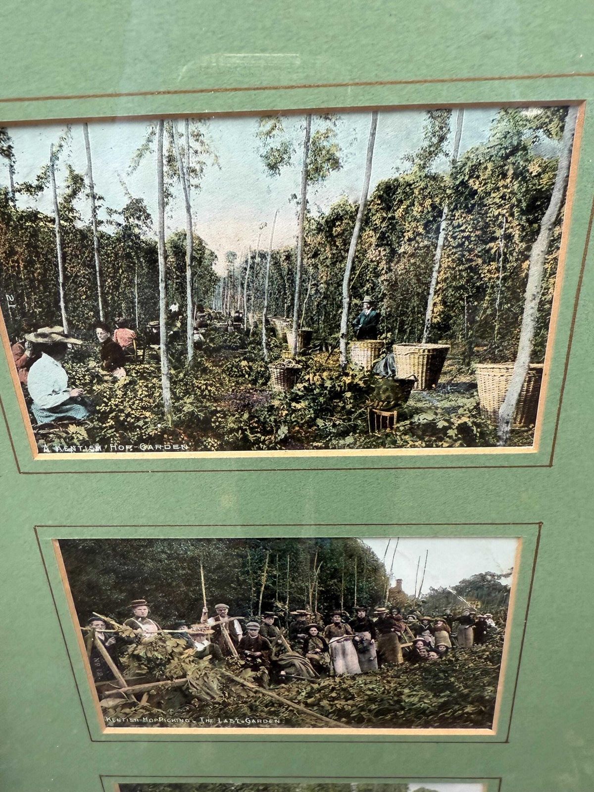 Antique Edwardian Hop Picking   Kent Series   Invicta   Hand Tinted Postcards With Original Stamps, Kent Memorabilia, Incl Italian Address photo vinterior