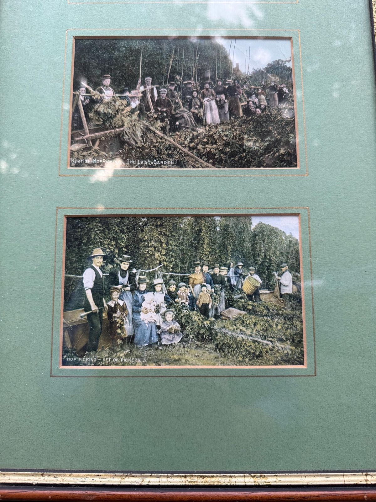 Antique Edwardian Hop Picking   Kent Series   Invicta   Hand Tinted Postcards With Original Stamps, Kent Memorabilia, Incl Italian Address photo buy