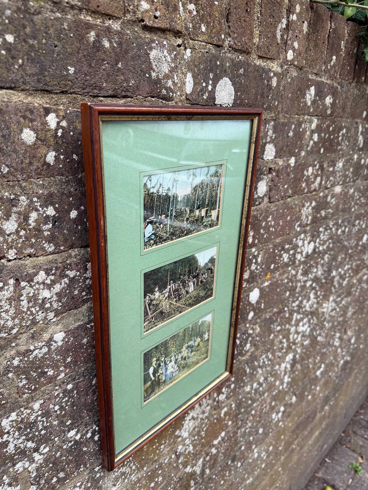 photo furniture Antique Edwardian Hop Picking   Kent Series   Invicta   Hand Tinted Postcards With Original Stamps, Kent Memorabilia, Incl Italian Address