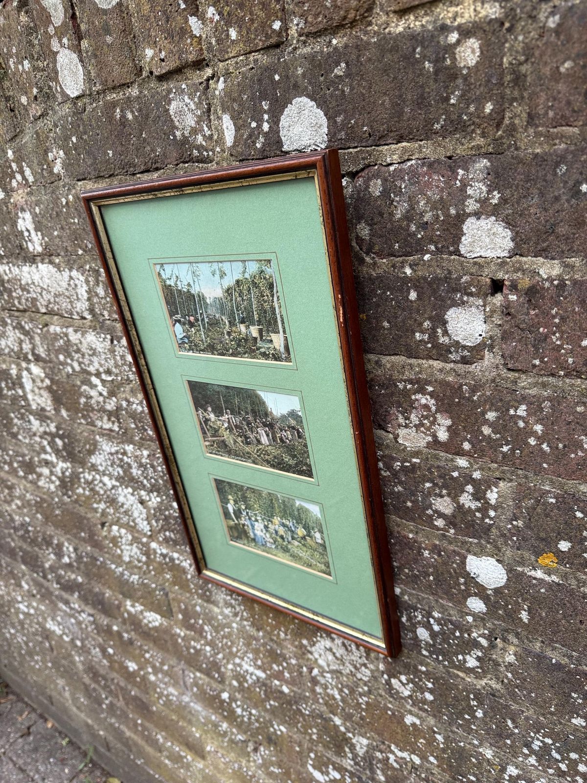 photo for sale Antique Edwardian Hop Picking   Kent Series   Invicta   Hand Tinted Postcards With Original Stamps, Kent Memorabilia, Incl Italian Address
