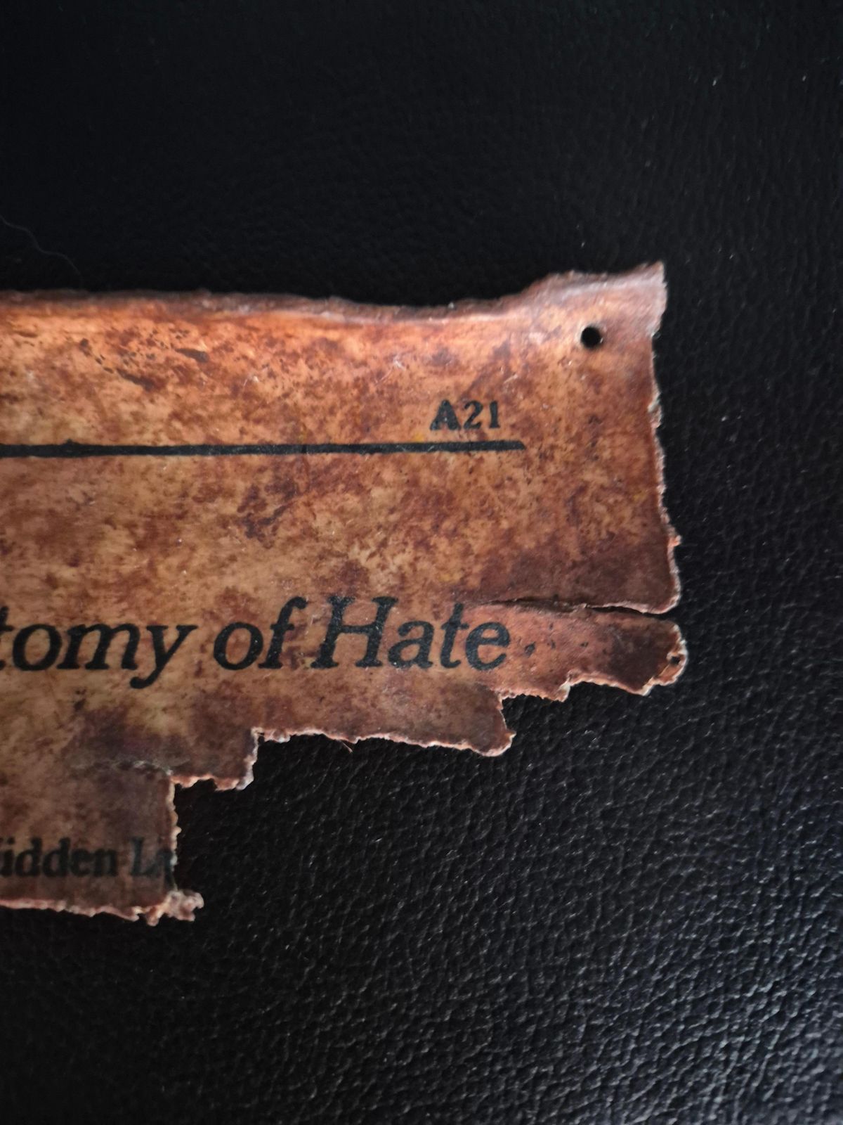 Jonathan Seliger, "Editorial"   The Anatomy Of Hate, 1994, Mixed Media photo Art